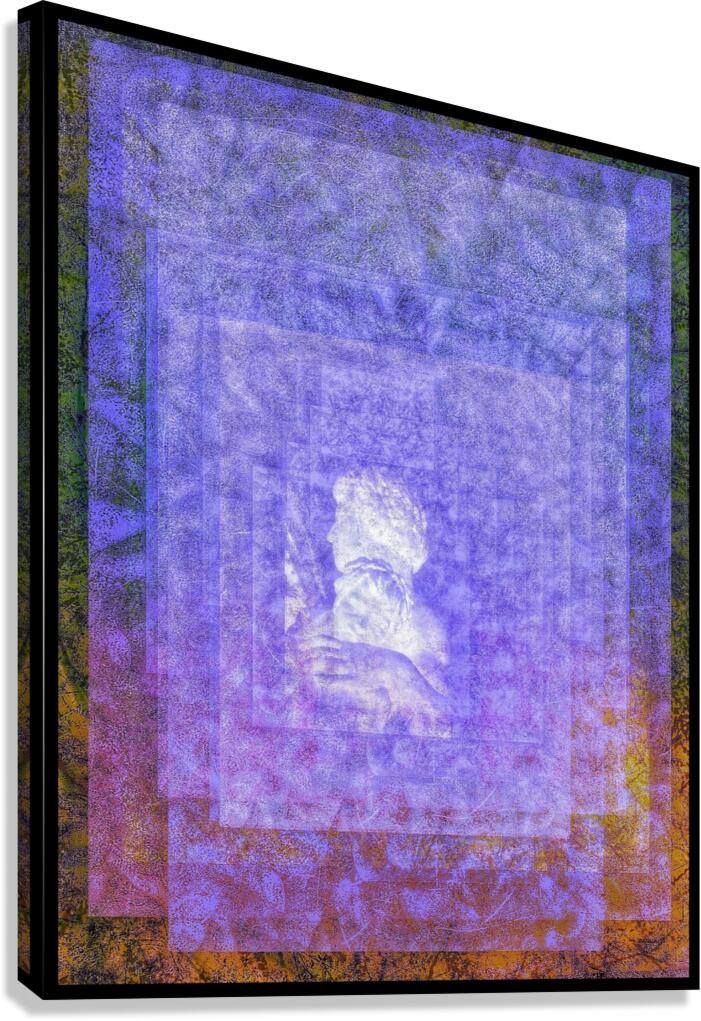 V770 Canvas Print
