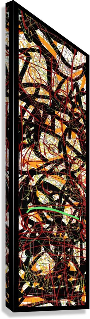 V777 Canvas Print