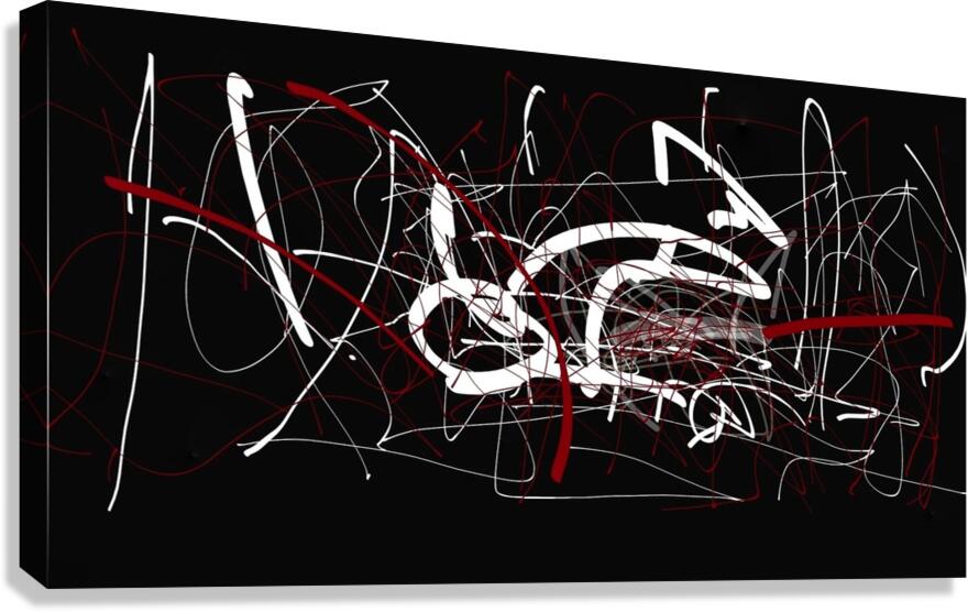 V778 Canvas Print
