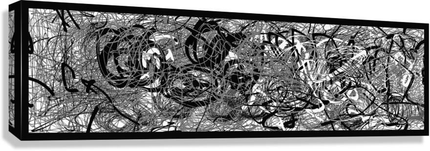 V780 Canvas Print