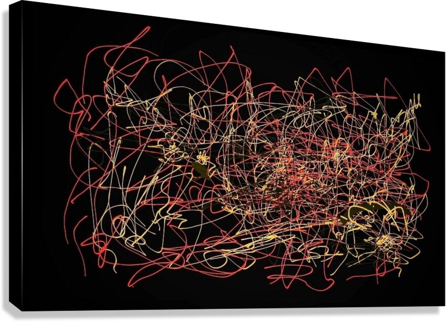V781 Canvas Print