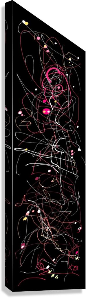 V783 Canvas Print