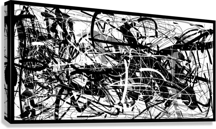V784 Canvas Print