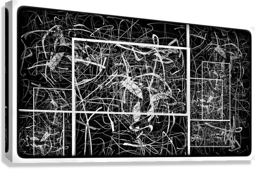 V787 Canvas Print