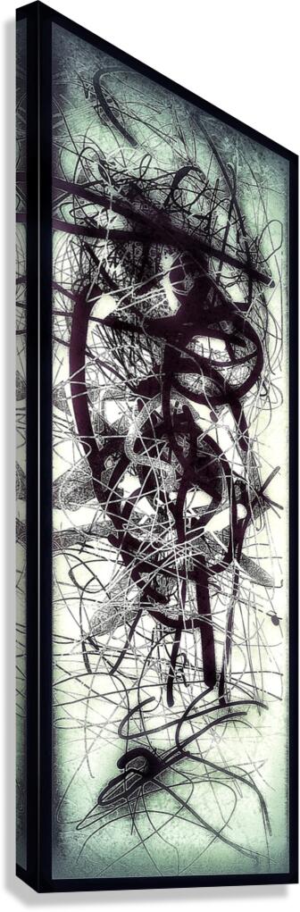 V788 Canvas Print