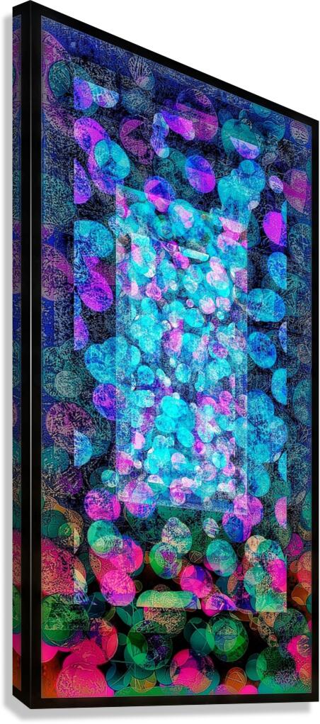 V789 Canvas Print