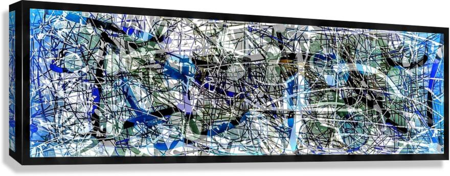 V790 Canvas Print