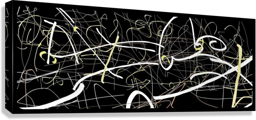 V791 Canvas Print