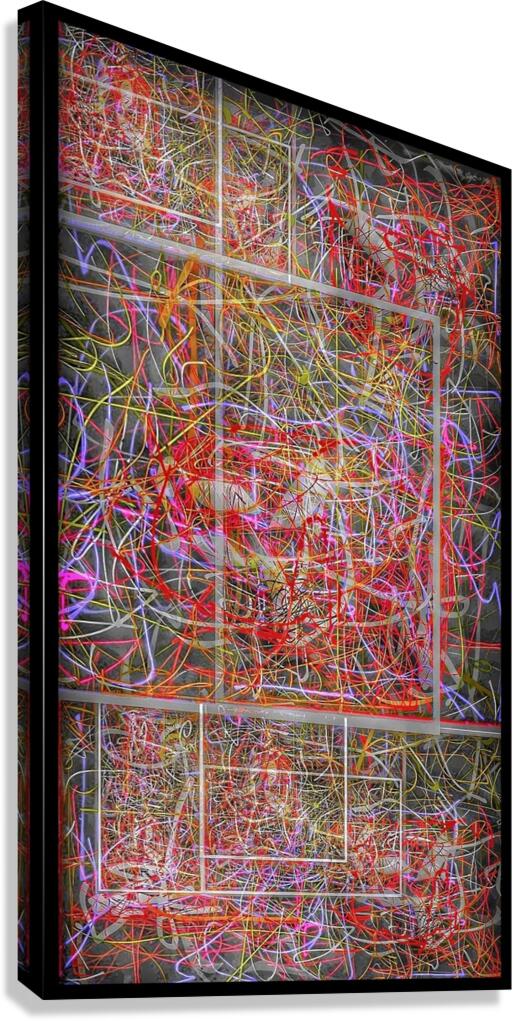 V794 Canvas Print