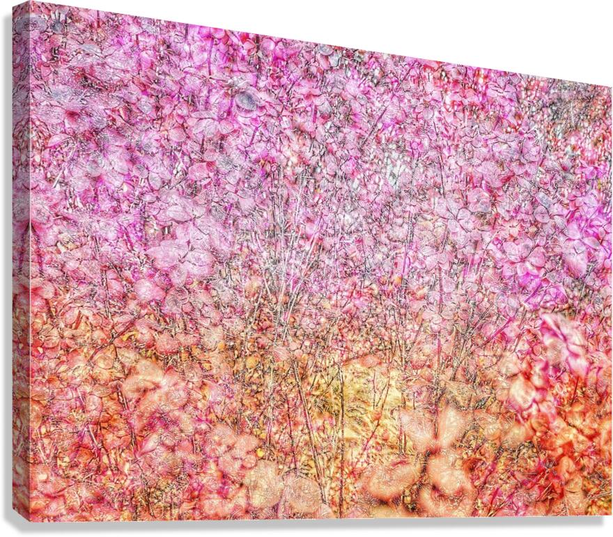 V799 Canvas Print