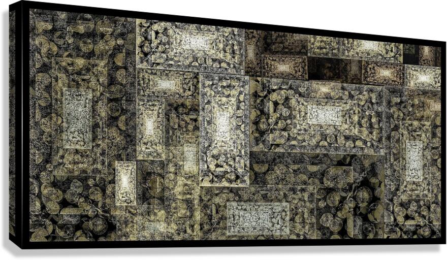 V800 Canvas Print