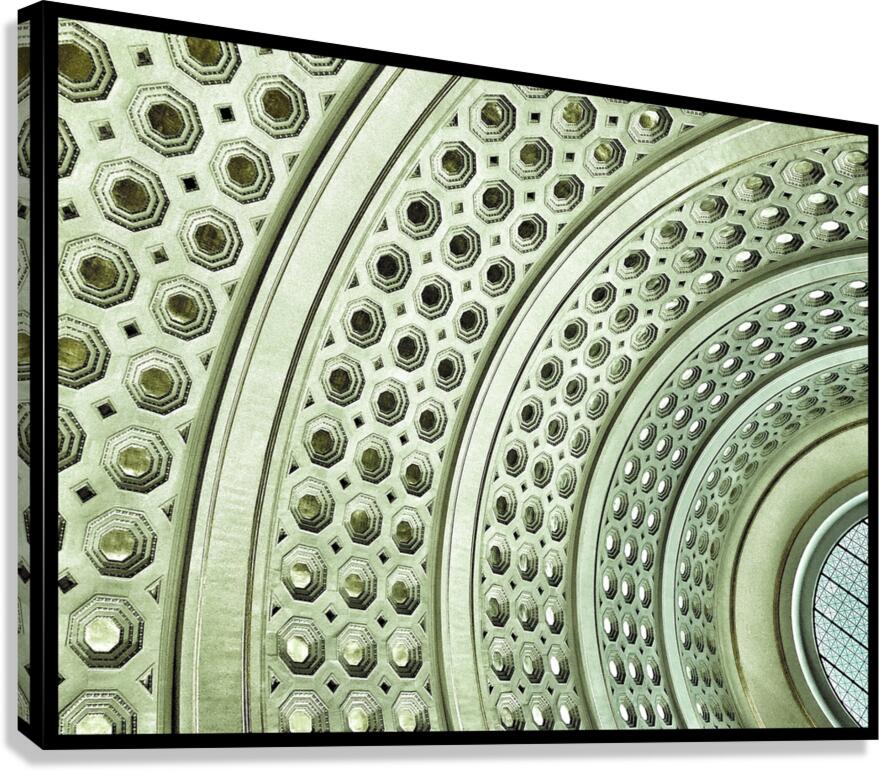 V801 Canvas Print