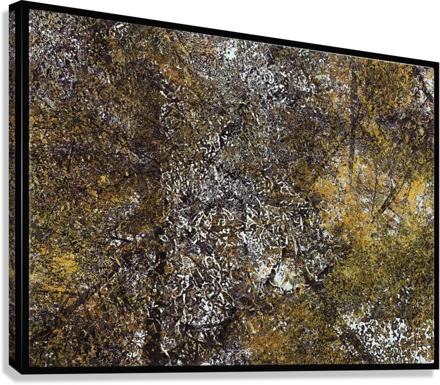 V803 Canvas Print