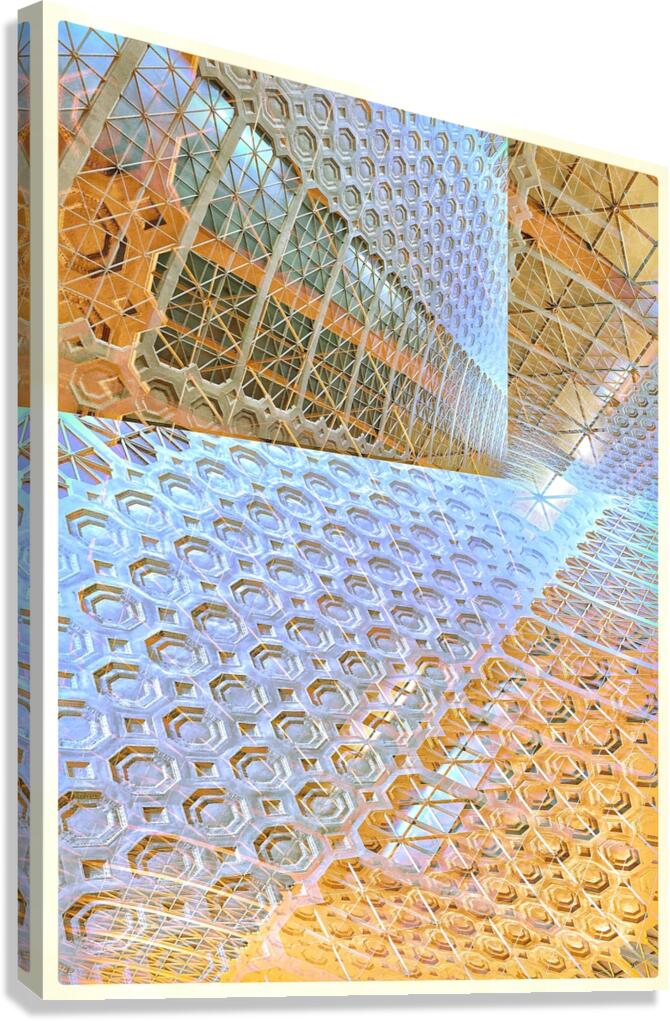 V805 Canvas Print