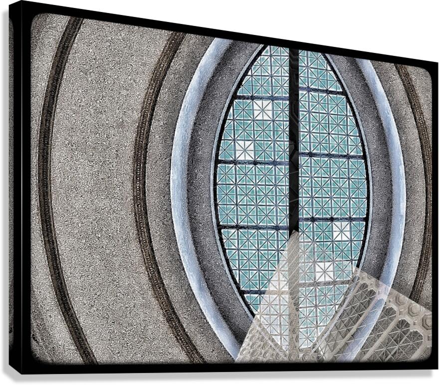 V806 Canvas Print