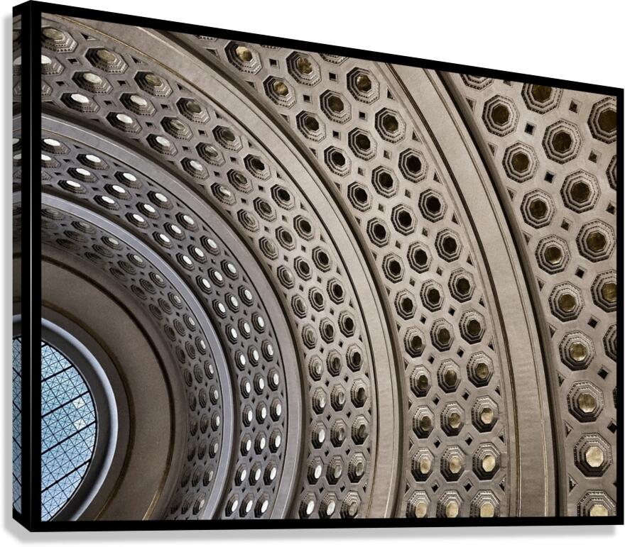 V808 Canvas Print