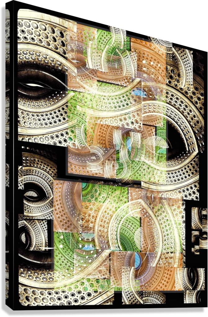 V809 Canvas Print