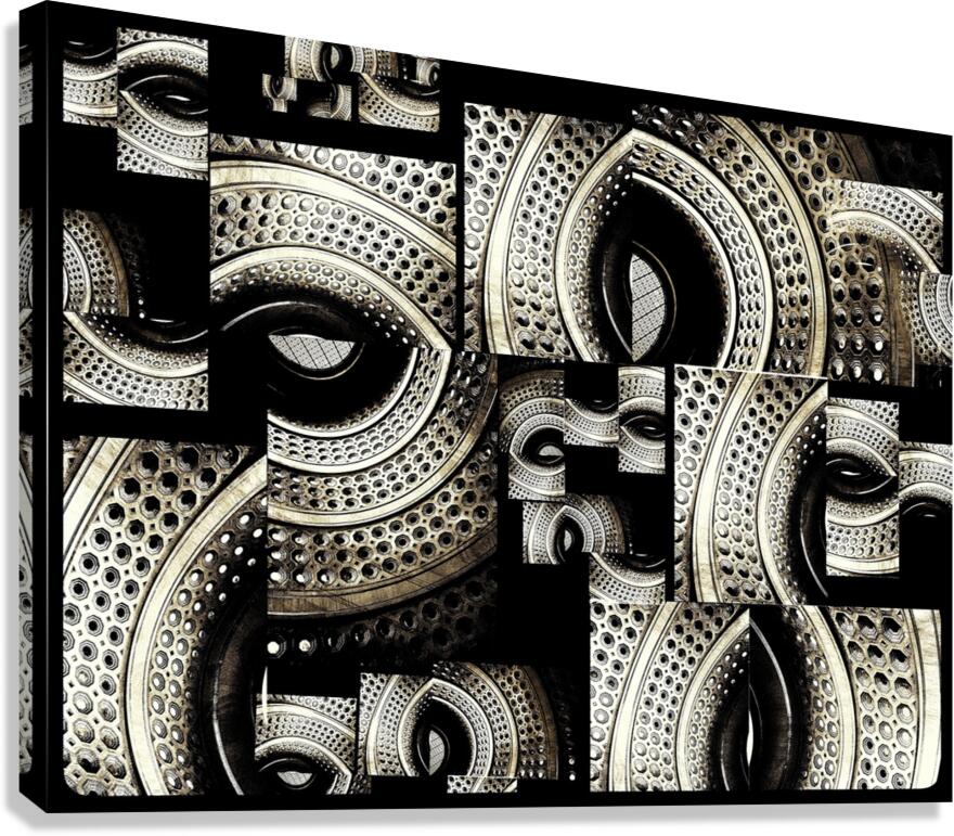 V810 Canvas Print