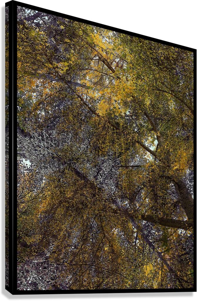 V812 Canvas Print
