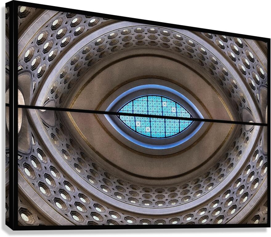 V816 Canvas Print