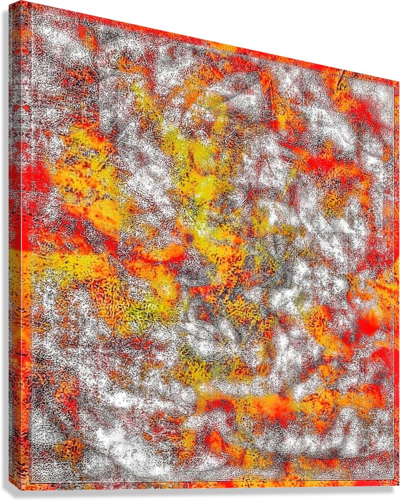 V817 Canvas Print