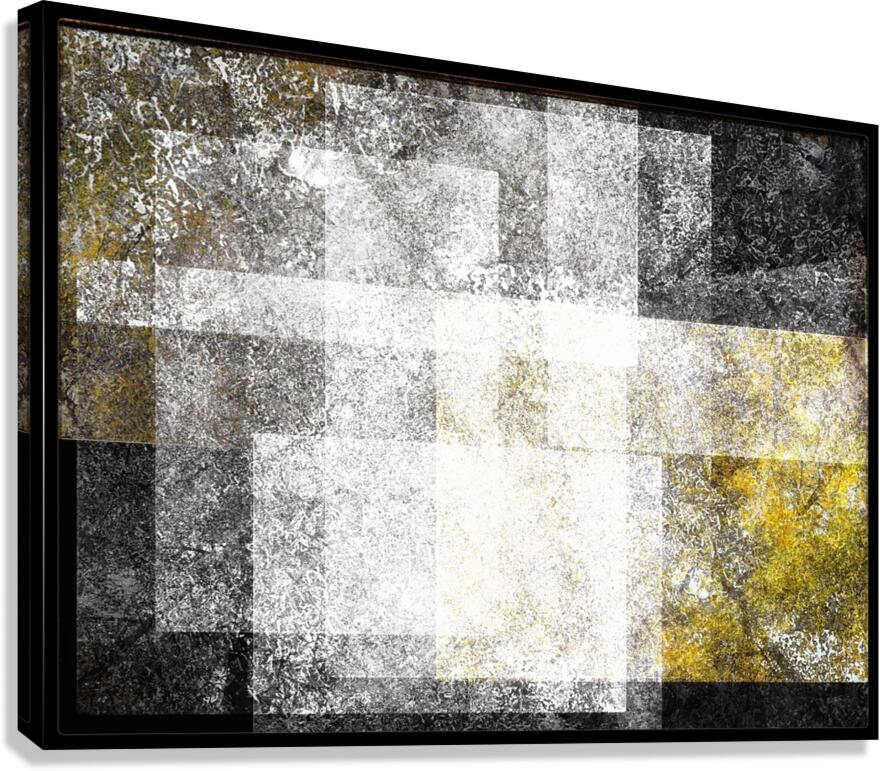 V820 Canvas Print