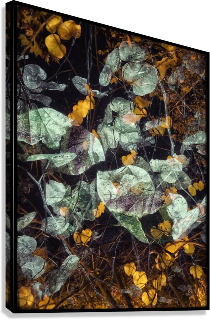 V821 Canvas Print