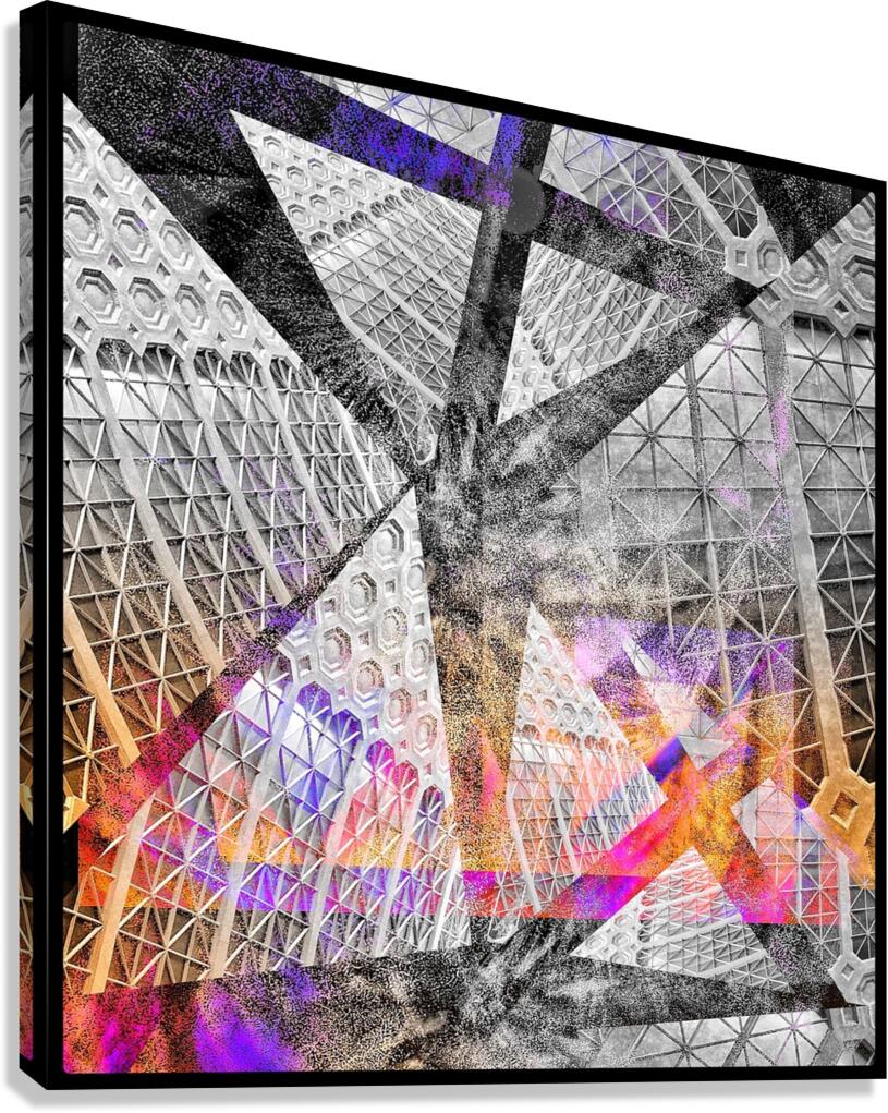 V822 Canvas Print