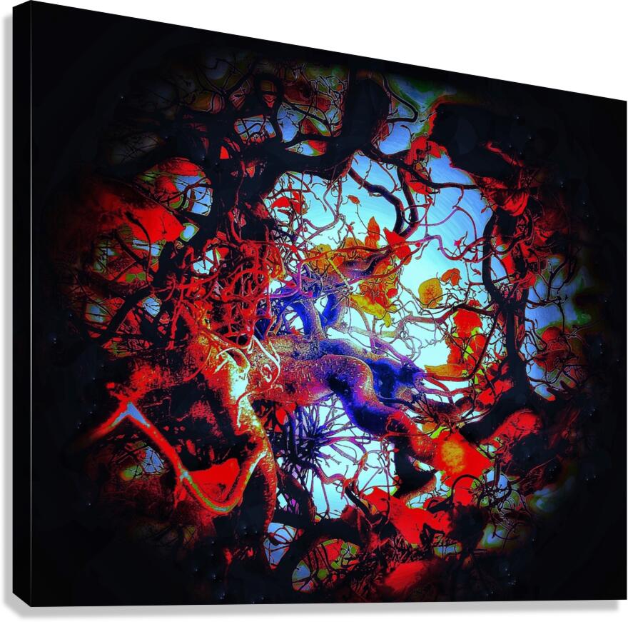V826 Canvas Print