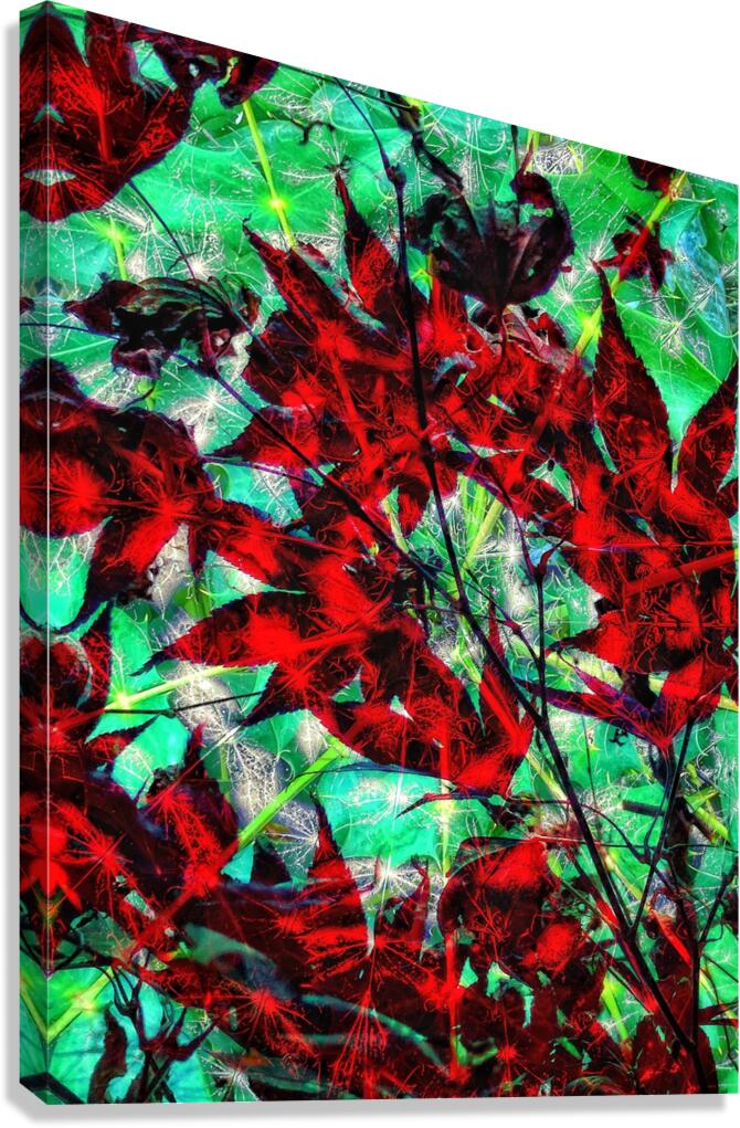 V828 Canvas Print