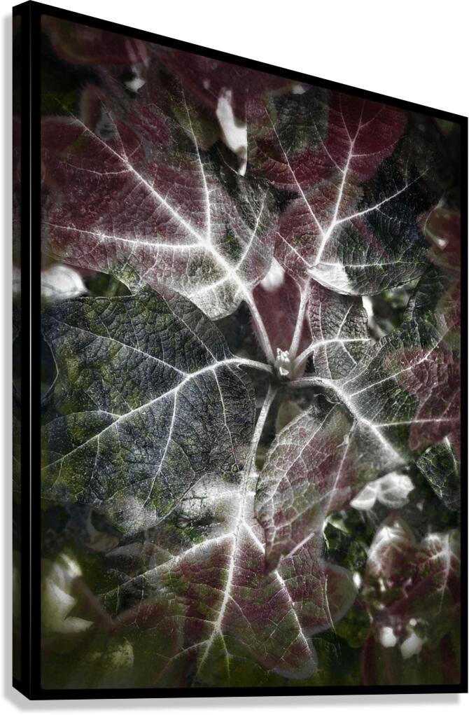 V829 Canvas Print