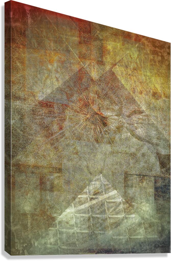 V833 Canvas Print