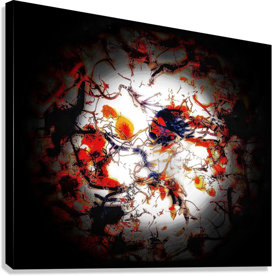 V834 Canvas Print