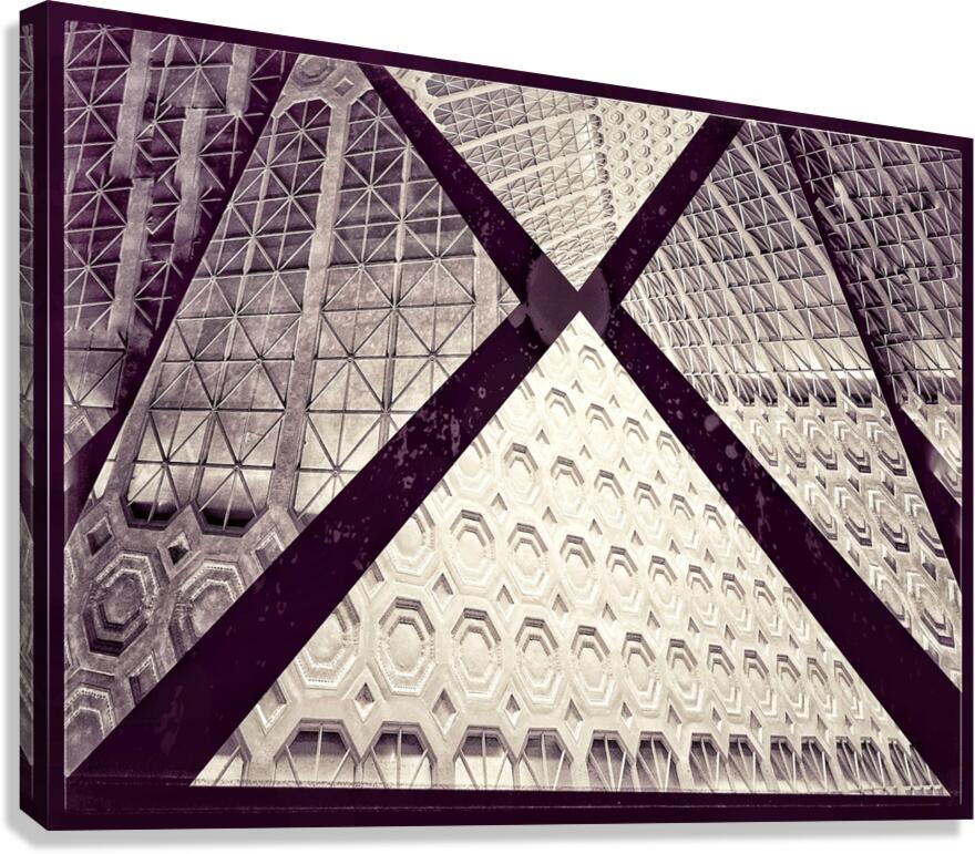 V835 Canvas Print