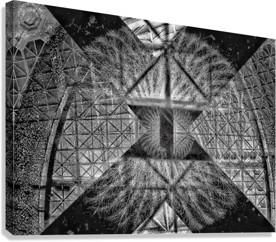 V836 Canvas Print