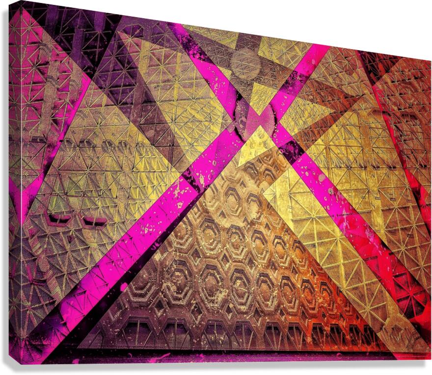 V837 Canvas Print