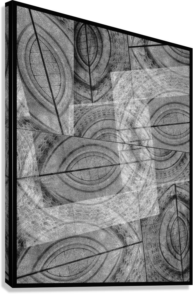 V839 Canvas Print