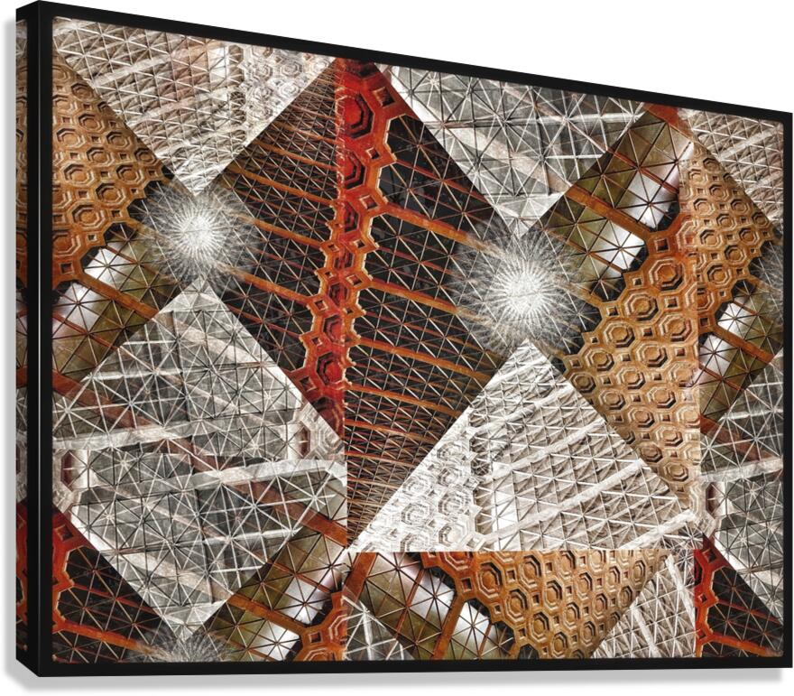 V840 Canvas Print