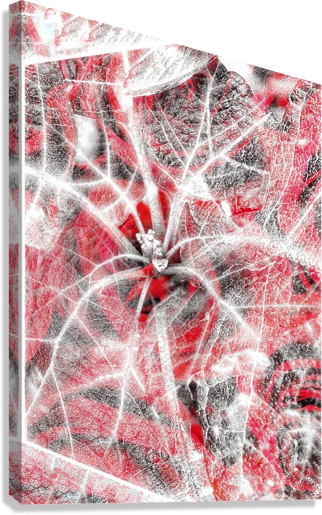 V842 Canvas Print