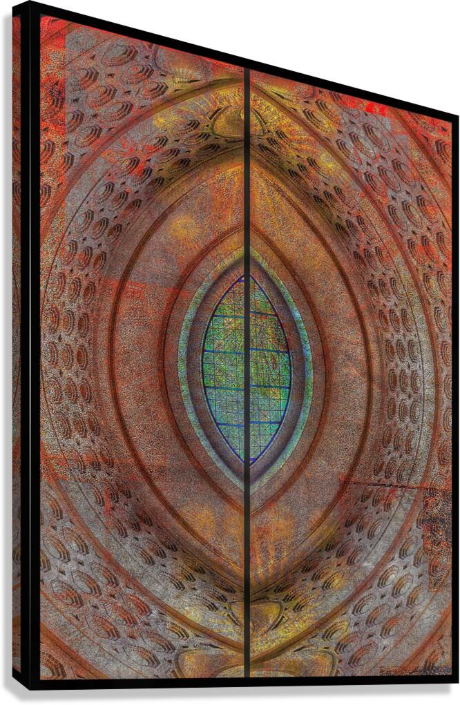 V843 Canvas Print