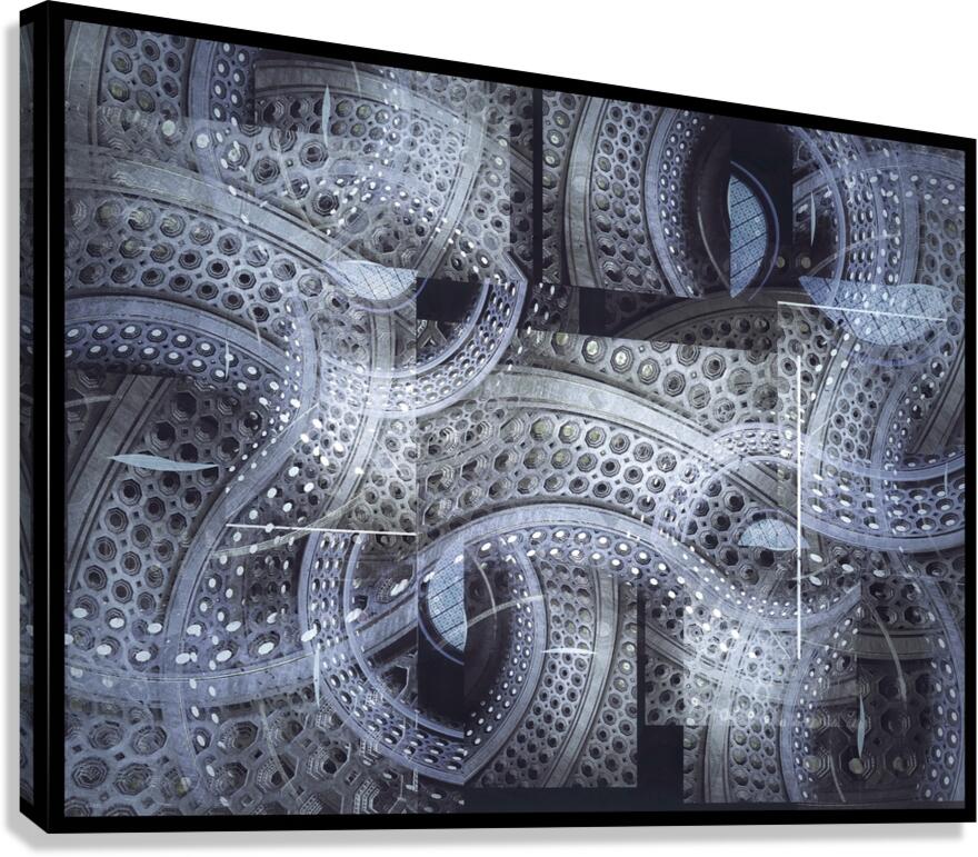 V845 Canvas Print