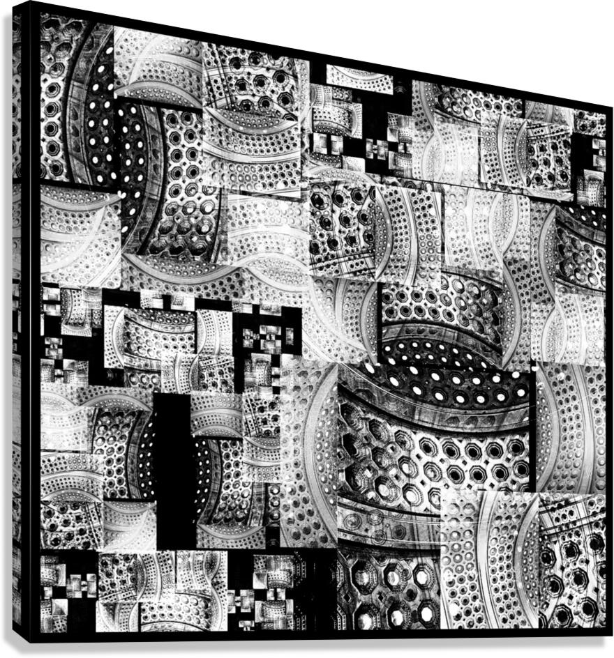 V846 Canvas Print