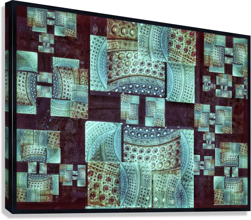 V848 Canvas Print