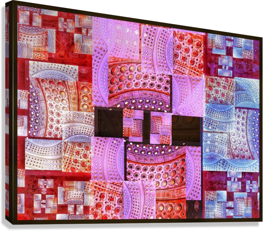 V849 Canvas Print