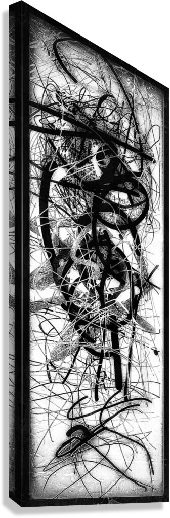 V854 Canvas Print