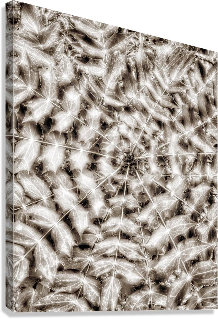V856 Canvas Print