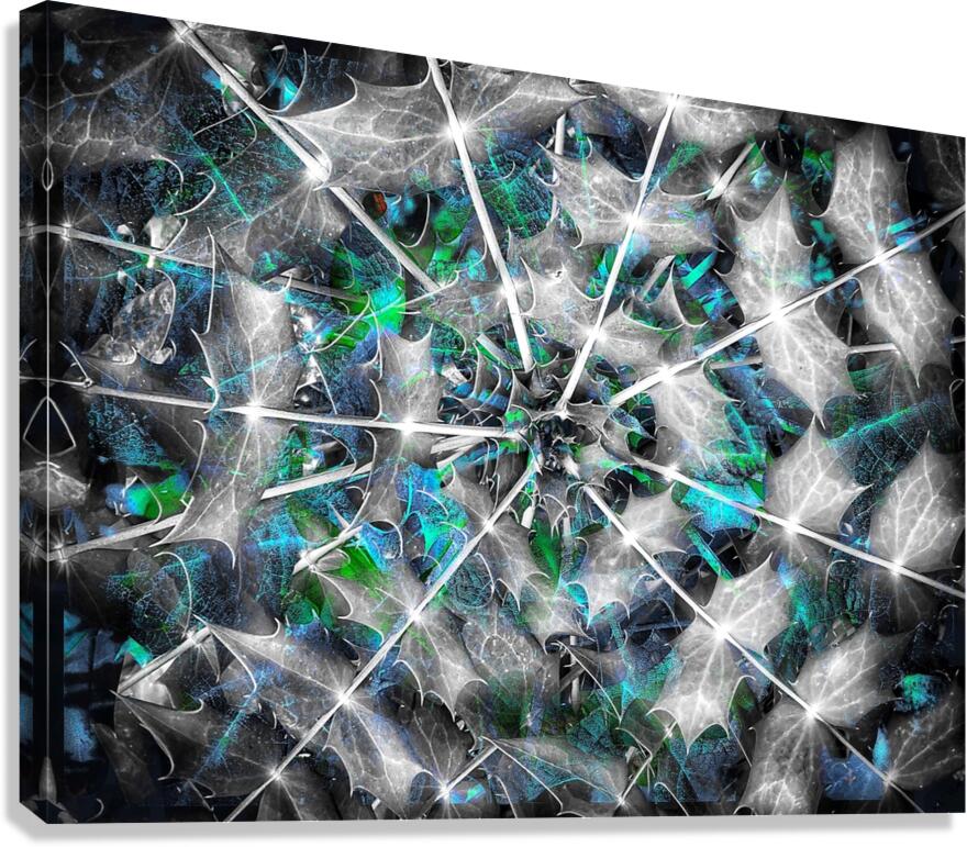 V857 Canvas Print