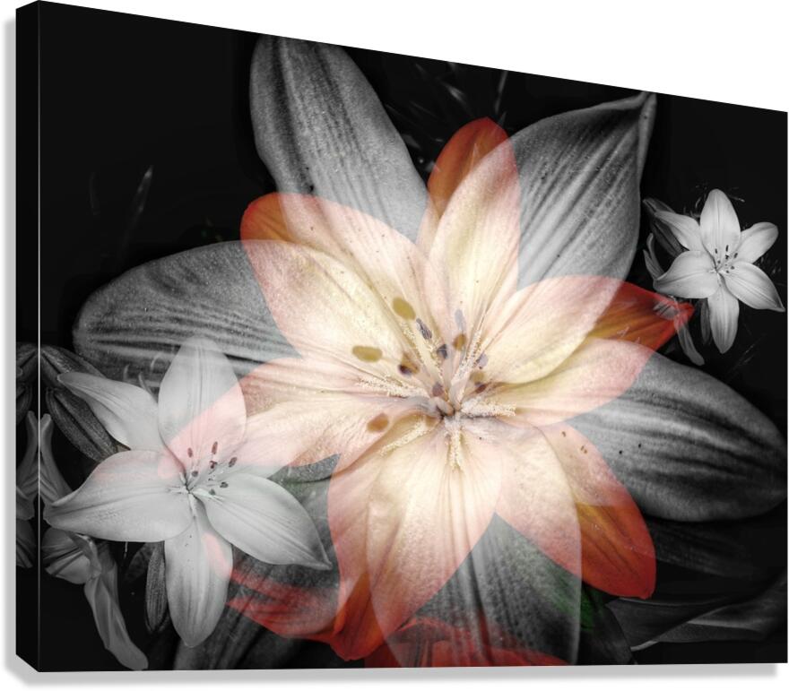 V860 Canvas Print