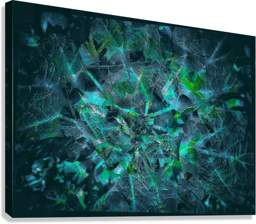 V866 Canvas Print