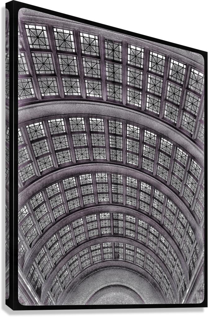 V868 Canvas Print